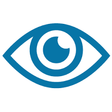 Vision